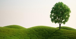 Articolo di Azienda Sicura